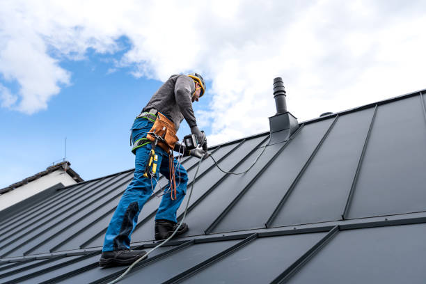 Best Roof Leak Repair  in Dexter, MO