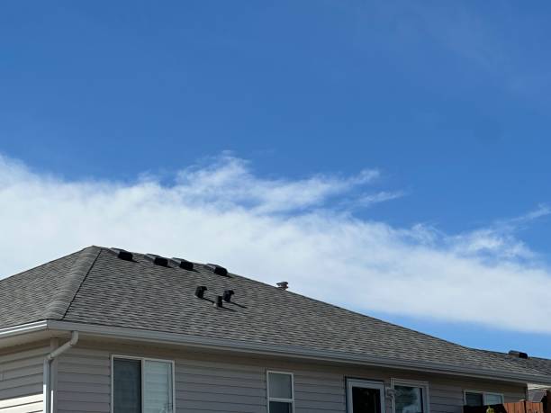 Best Roof Maintenance and Cleaning  in Dexter, MO